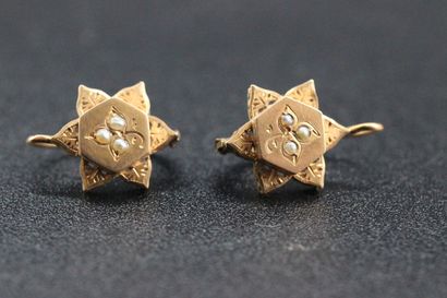 Broche et paire de boucles d'oreilles en...