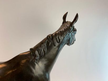 Nathalie de GOLEJEWSKI (20th) 
Stallion horse.
Bronze...