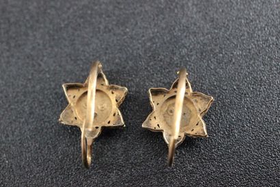Broche et paire de boucles d'oreilles en...
