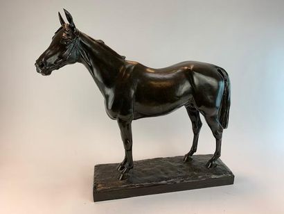Nathalie de GOLEJEWSKI (20th) 
Stallion horse.
Bronze...