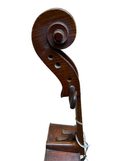 Violoncelle. H 122 cm, (accidents en l'é...