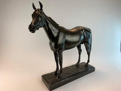 Nathalie de GOLEJEWSKI (20th) 
Stallion horse.
Bronze...