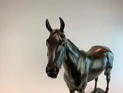 Nathalie de GOLEJEWSKI (20th) 
Stallion horse.
Bronze...