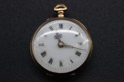 Montre de col en or jaune avec cache poussière...