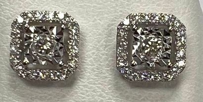 Paire de boutons d'oreilles en or blanc 750°/.(18K)...