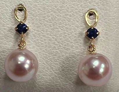 Paire de pendants d'oreilles en or jaune...