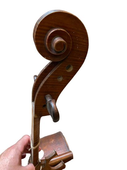 Violoncelle. H 122 cm, (accidents en l'é...