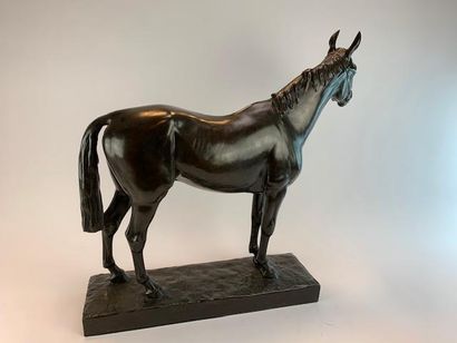 Nathalie de GOLEJEWSKI (20th) 
Stallion horse.
Bronze...