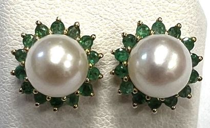 Pair of ear studs in 750°/.(18K) yellow gold...