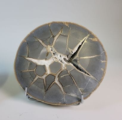 Lovely and atypical pair of Septarias, from...