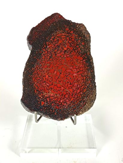 Agatized dinosaur bone
South Dakota, USA
Date...