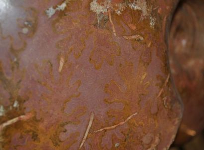 Specimen: Alocolytoceras sp.
Location: Belmont...