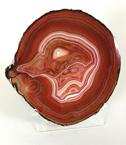 Agate
Incredibly fine Muscovy duck profile,...