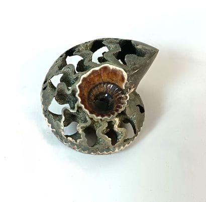 Ammonite Queenstediceras Lamberti
Upper Jurassic...