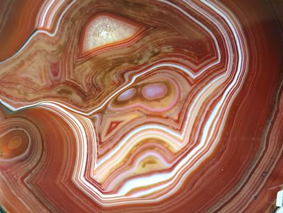 Agate
Incredibly fine Muscovy duck profile,...