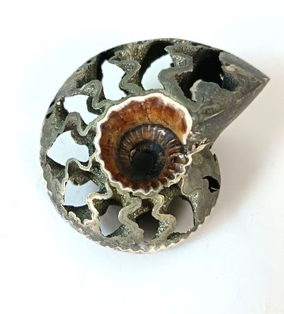 Ammonite Queenstediceras Lamberti
Upper Jurassic...