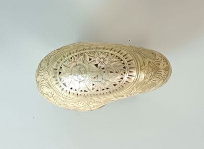 Engraved Nautilus ( Nautilus Macromphalus)...