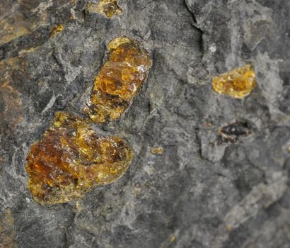 Specimen: Plate with amber nodules in lignite...