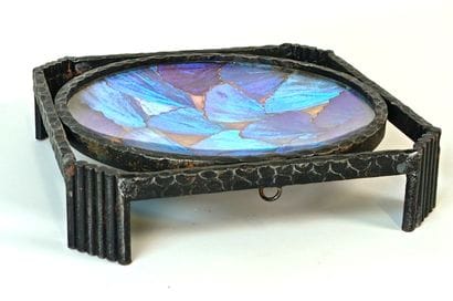 Morpho