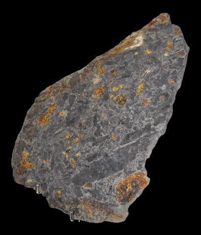 Specimen: Plate with amber nodules in lignite...
