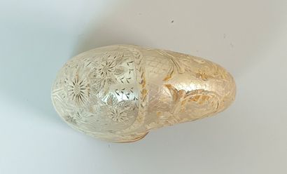 Engraved Nautilus ( Nautilus Macromphalus)
Bourail...