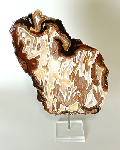 Pseudomorphic Agate
Large agate with white...