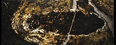 Specimen: Cyclurus kehreri
Location: Messel
Age...