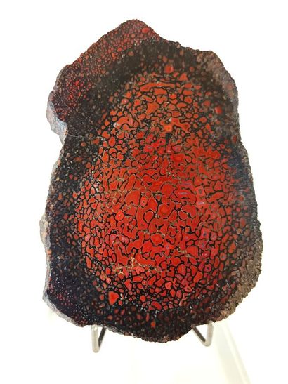 Agatized dinosaur bone
South Dakota, USA
Date...