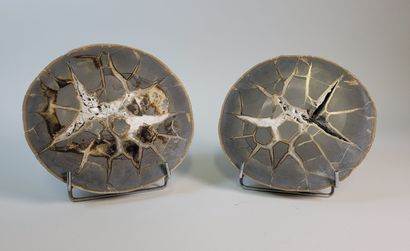 Lovely and atypical pair of Septarias, from...