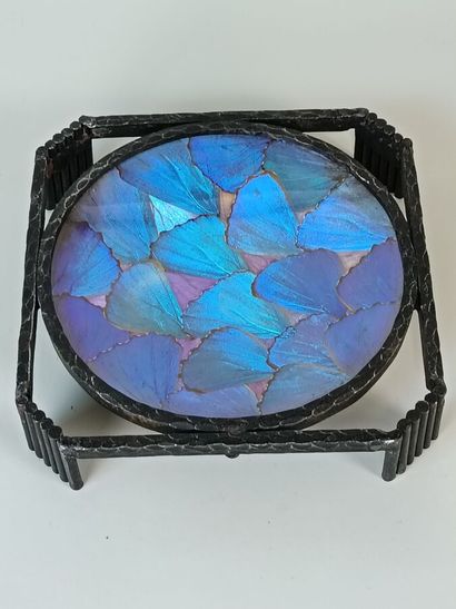 Morpho