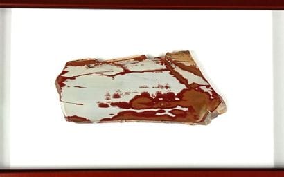 Very fine Owyhee jasper, USA, in a fine frame....