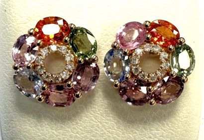 Très belle paire de boutons d'oreilles en...