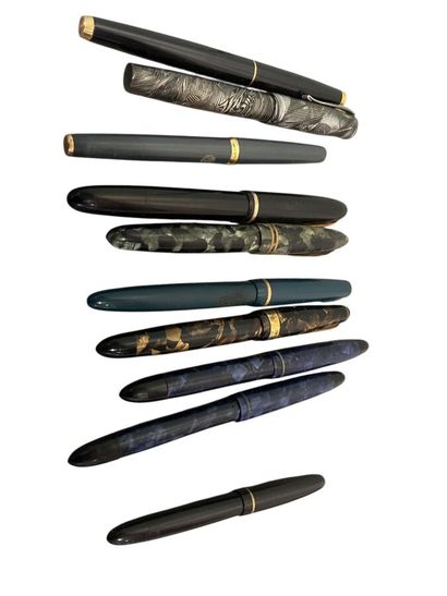 Lot de 10 stylos plume or
