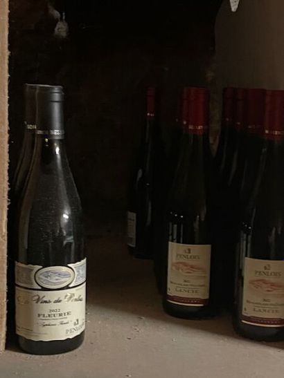 Stock d'alcools (24 bouteilles), bières,...