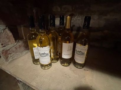 Stock d'alcools (24 bouteilles), bières,...