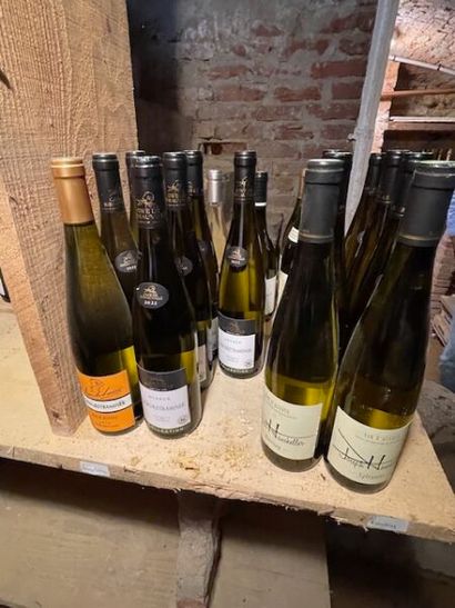 Stock d'alcools (24 bouteilles), bières,...