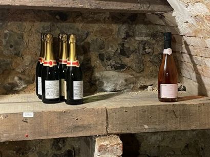 Stock d'alcools (24 bouteilles), bières,...