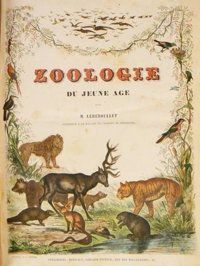 LEREBOULLET (A.)
Zoologie du jeune âge ou...