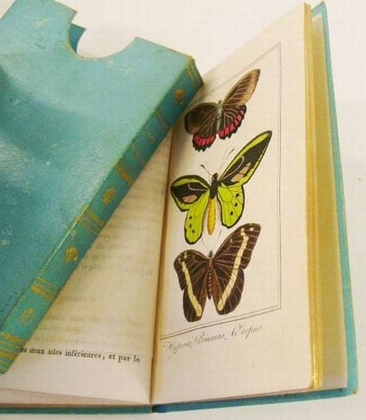 MALO (Charles)
Les papillons. Paris, Janet,...