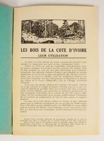 Afrique. Les Bois de la Côte d'Ivoire, leur...
