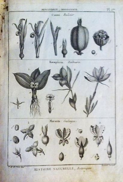 Botanique - [LAMARCK (Jean Baptiste Monnet...