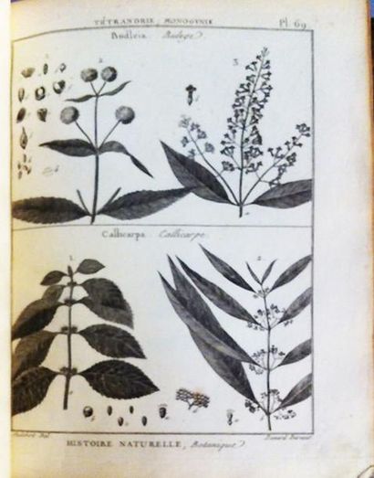 Botanique - [LAMARCK (Jean Baptiste Monnet...