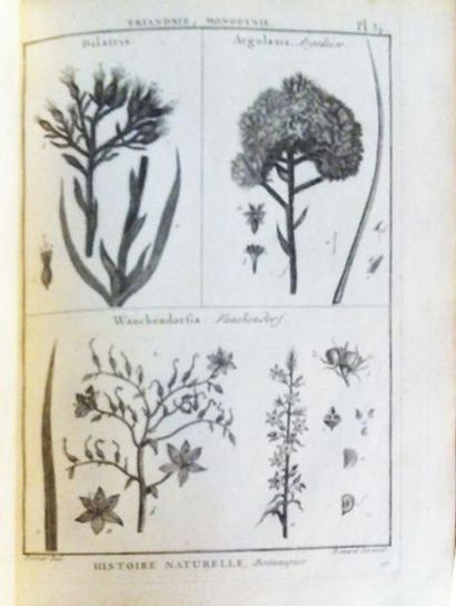 Botanique - [LAMARCK (Jean Baptiste Monnet...