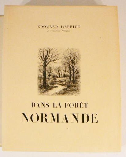 Normandie - HERRIOT (H.). Dans la forêt normande....
