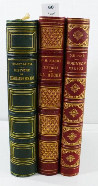 LOT 3 volumes. Robinson Crusoé. Illustré...
