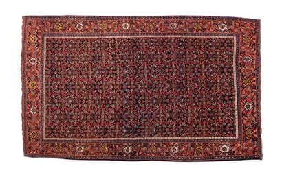 Fine SENNEH carpet on silk warp and weft...