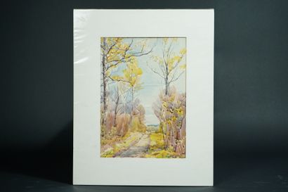 Antoine HEITZMANN (1910-1995)
Forest Road...