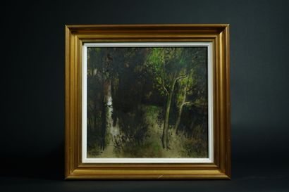 Charles-Gustave STOSKOPF (1907-2004)
Undergrowth
Mixed...