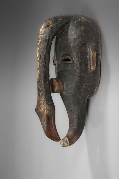 Ligbi/djimini mask supporting the allegory...