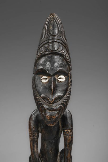 Sepik statue Indonesia Papua
Carved wood,auri...